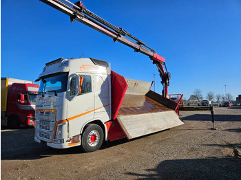 Camión grúa VOLVO FH 540