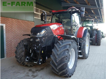 Tractor Case-IH puma 240 cvx afs stage v CVX: foto 3